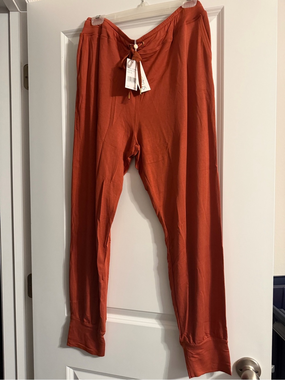 Brick Red Women's Drawstring Joggers